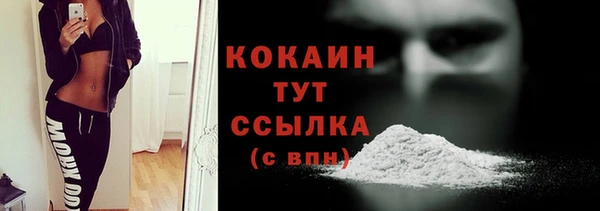 мдпв Богданович