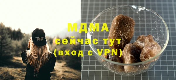 мдпв Богданович
